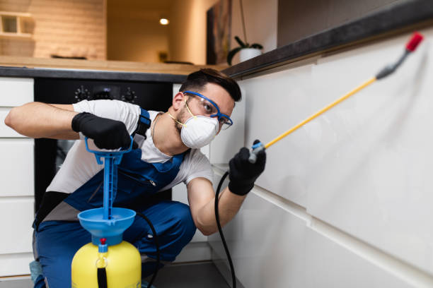 Best Exterminator Services  in Four Square Mile, CO