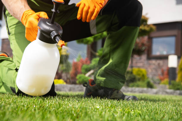 Best Wildlife Control Services  in Four Square Mile, CO
