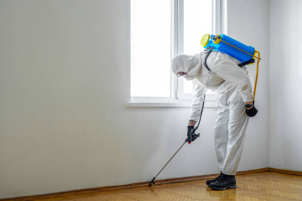 Best Bed Bug Extermination  in Four Square Mile, CO