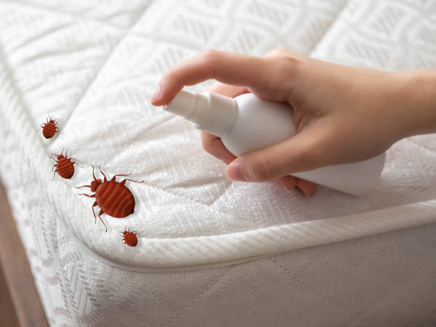 Best Commercial Pest Control Services  in Four Square Mile, CO
