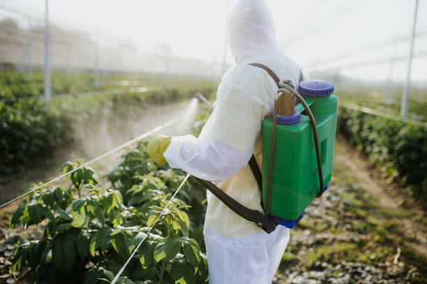 Best Mosquito Control Services  in Four Square Mile, CO